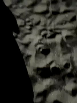 Rakses2 – webcam model profile photo Image 12