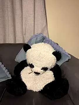 AmyJacobs – webcam model profile photo Image 11