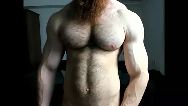 ZkkBlitz – webcam model profile photo