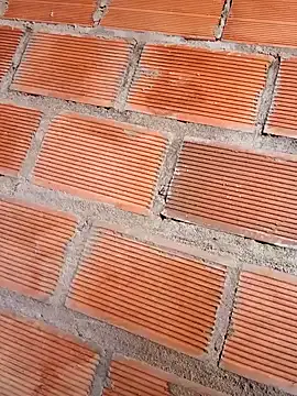 LizBentley – webcam model profile photo Image 15