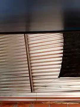 LizBentley – webcam model profile photo Image 19